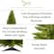 3ft. Pre-Lit Providence Pine Artificial Christmas Tree, Warm White LED Lights